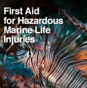 Hazardous Marine Life Injuries Course