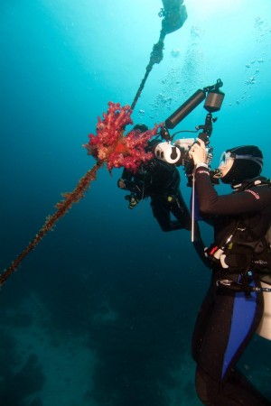 underwater photography - Underseas Scuba Center