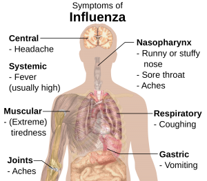 2000px-Symptoms_of_influenza.svg[1]